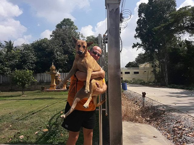 Thai Dog